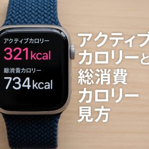 アクティブカロリーと総消費カロリー見方