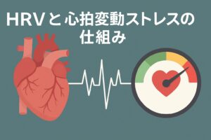 HRVと心拍変動ストレスの仕組み