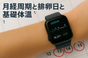 月経周期と排卵日と基礎体温